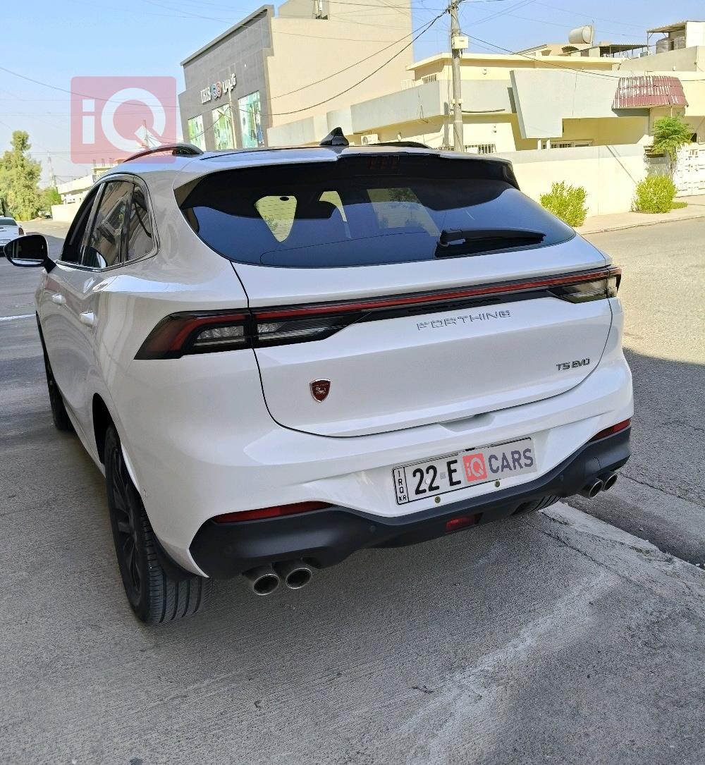 دونج فينج T5 EVO